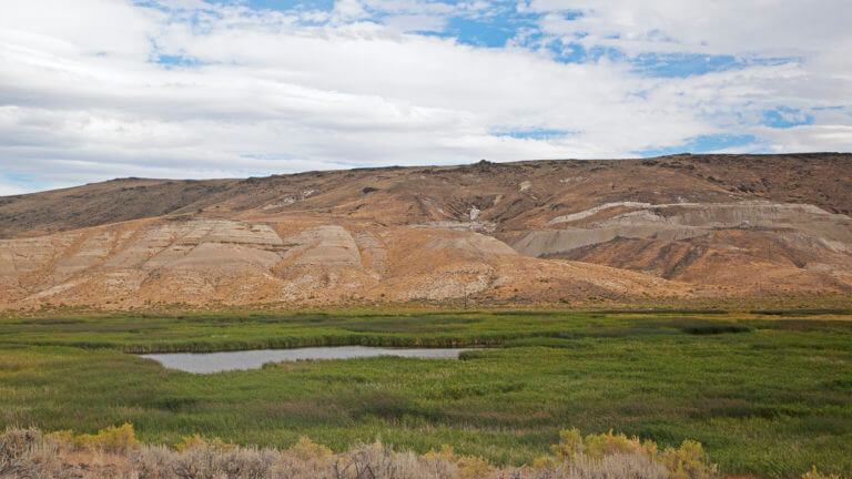 grass valley home to bighorn sheep