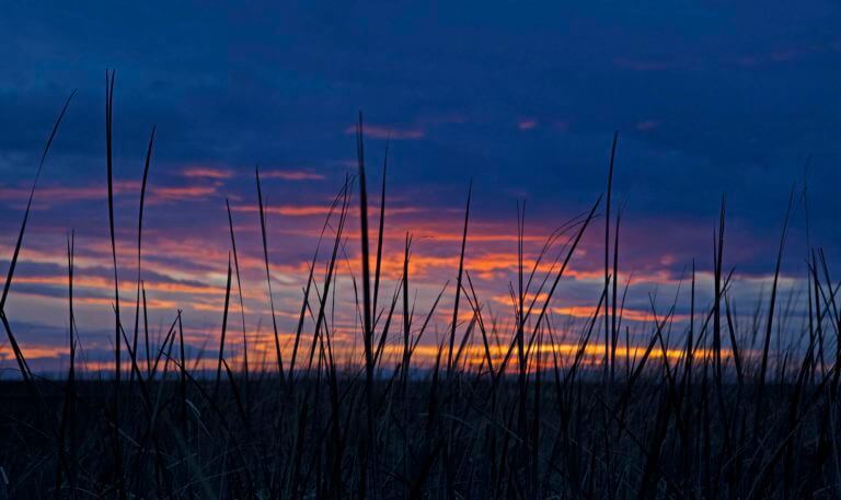 stillwater refuge