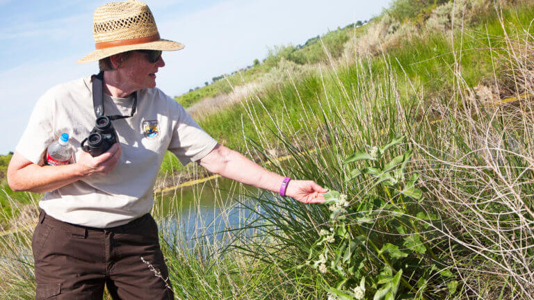 Explore the Stillwater National Wildlife Refuge