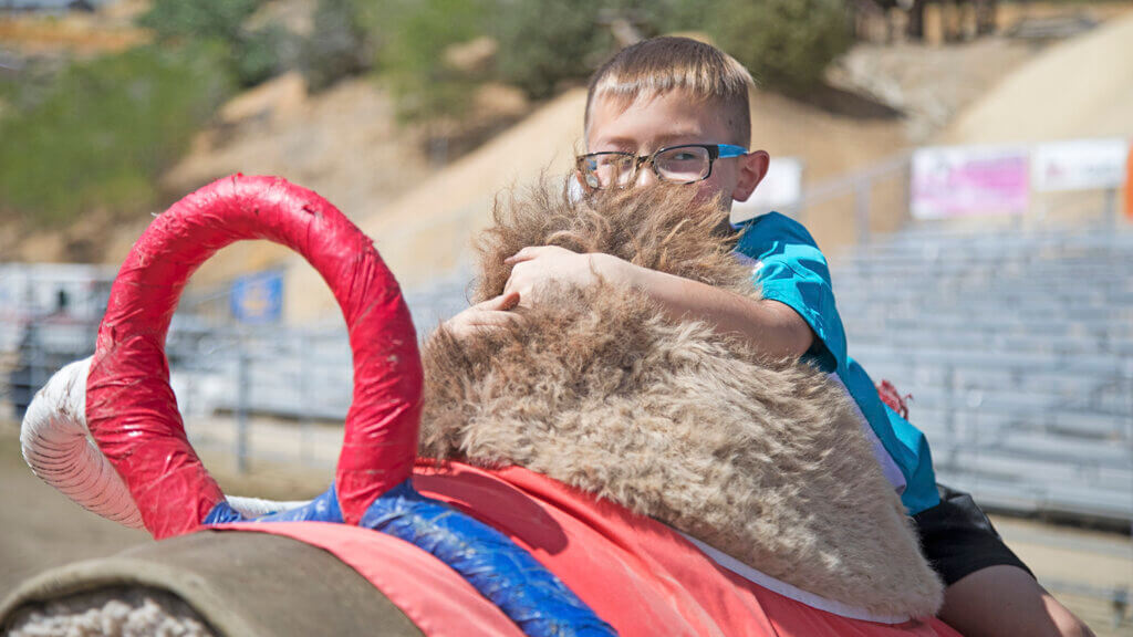 International Camel & Ostrich Races