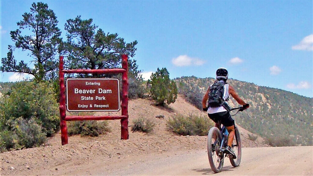 beaver dam gravel grinder