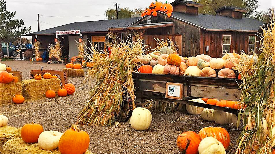 Lattin Farms Fall Festival