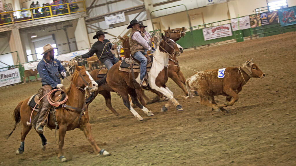 team roping the winnemucca ranch hand rodeo weekend