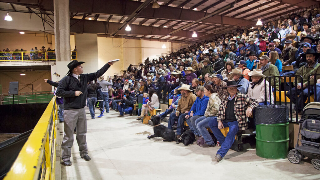 Winnemucca Ranch Hand Rodeo Weekend