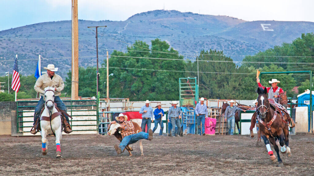 Silver State Stampede