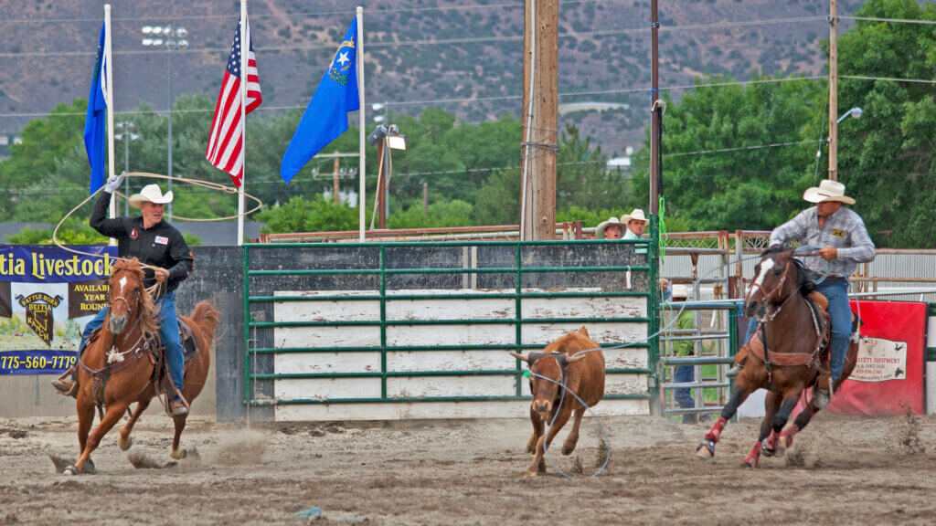 Silver State Stampede