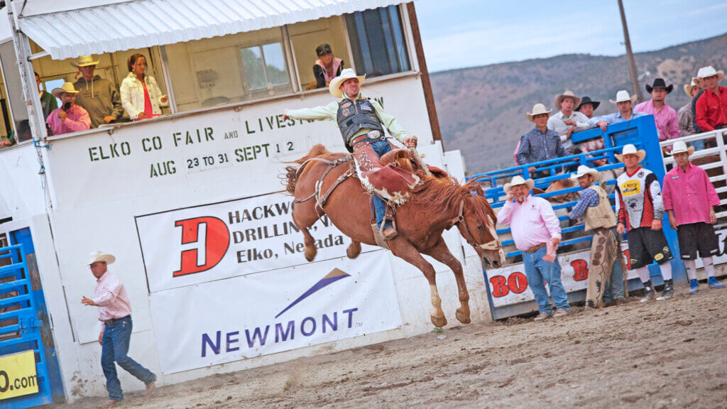 Silver State Stampede