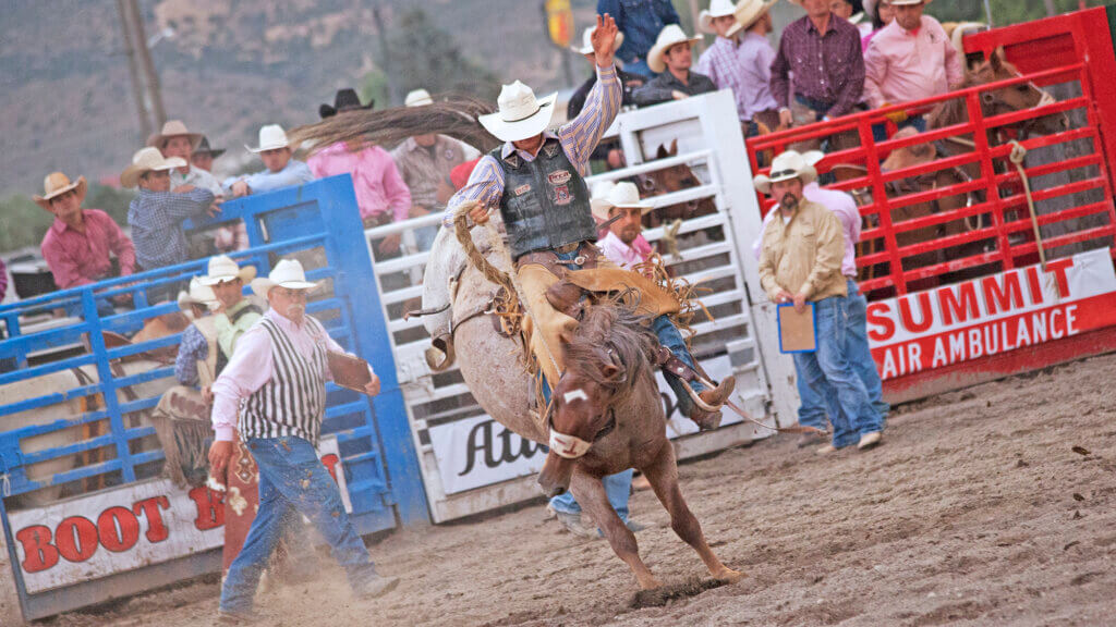 Rodeo action