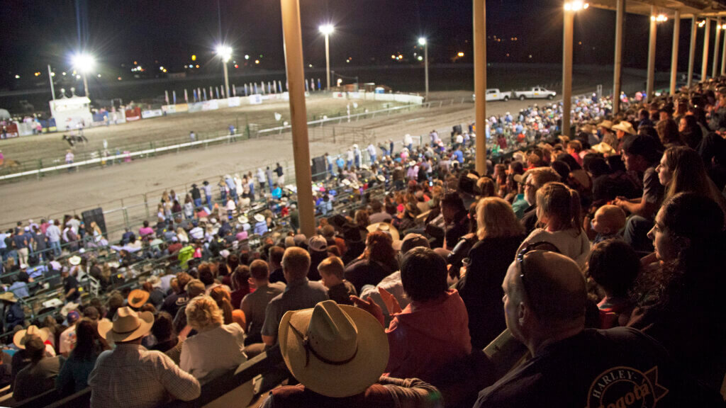 Silver State Stampede Nevada's Oldest Rodeo Nevada Rodeo