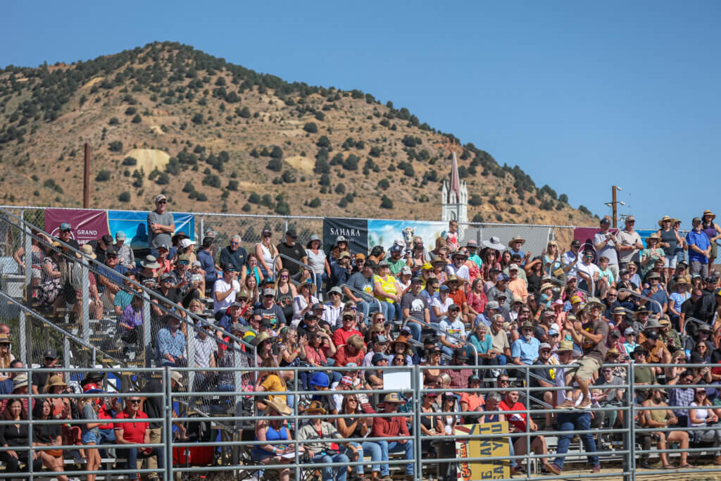 International Camel & Ostrich Races