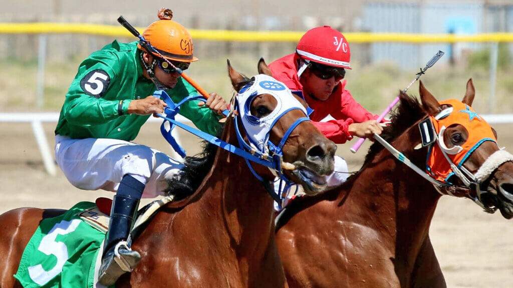 white pine horse races