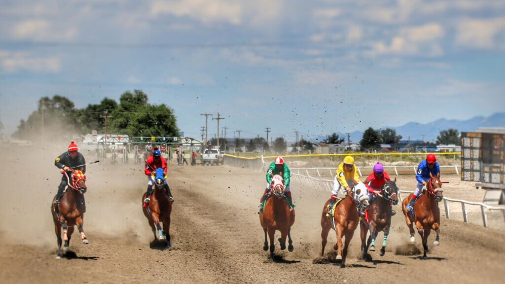 ely horse races
