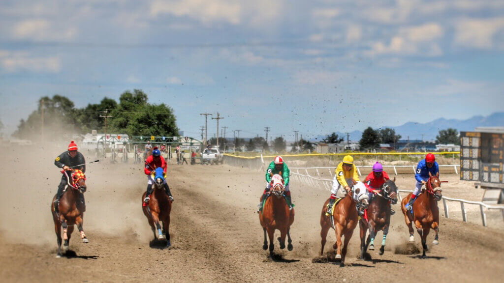 Ely Horse Races 2024 Aleen Aurelea