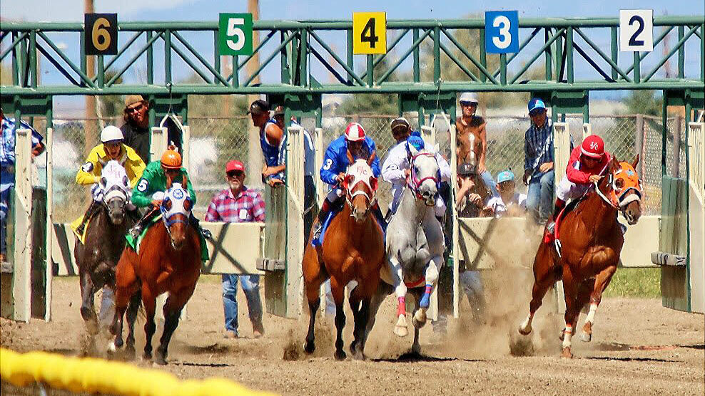 white pine county horse races and fair