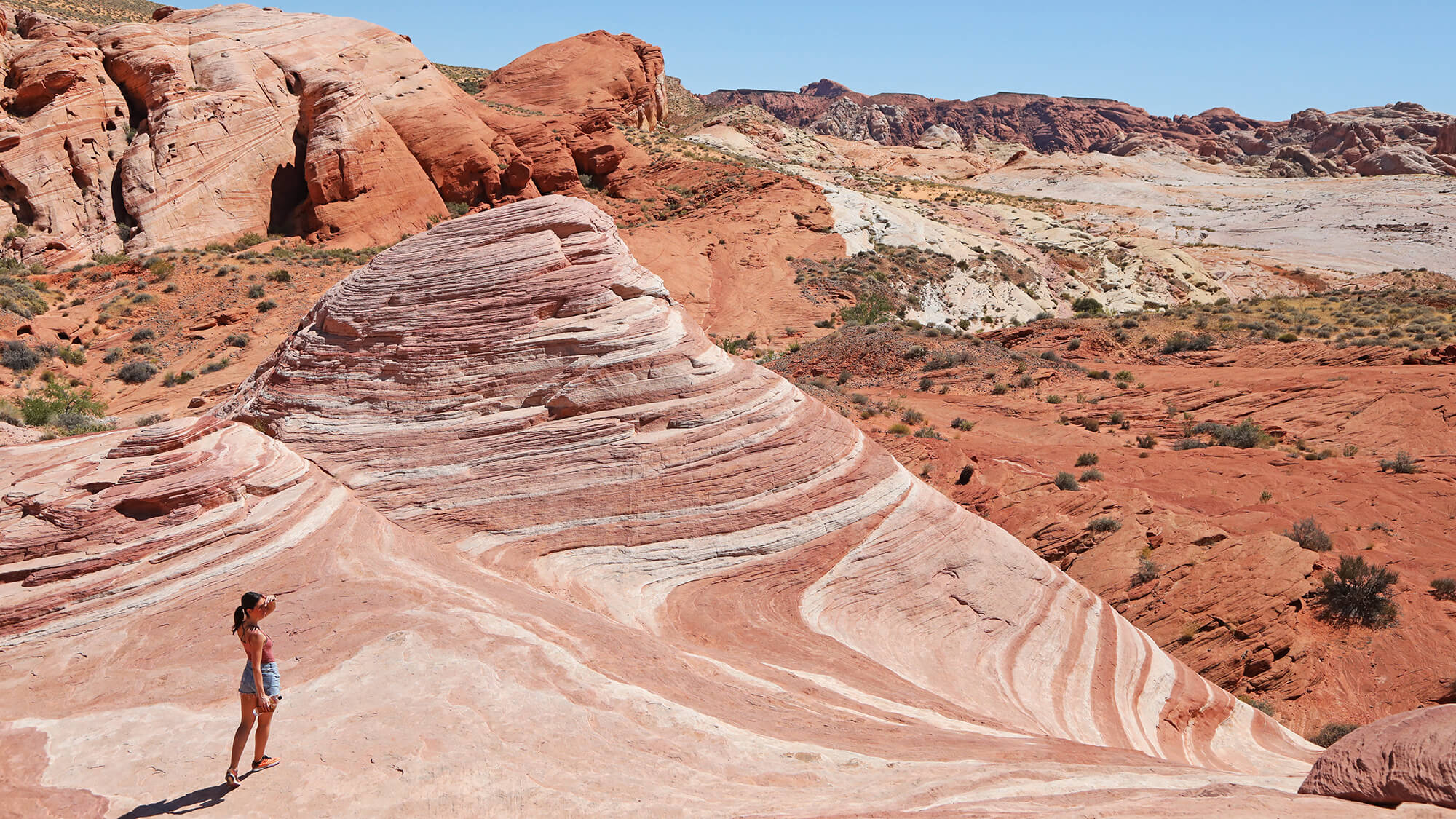 16 Moments That Aim To Please At Nevada State Parks