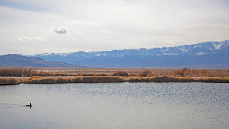 fish lake valley nevada