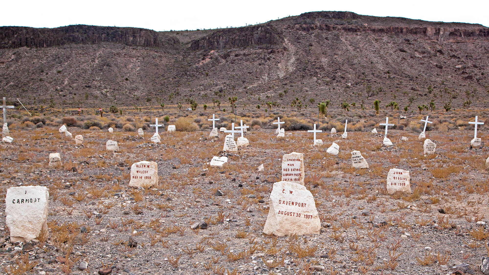 Discover the Famous and Historic Goldfield Cemetery
