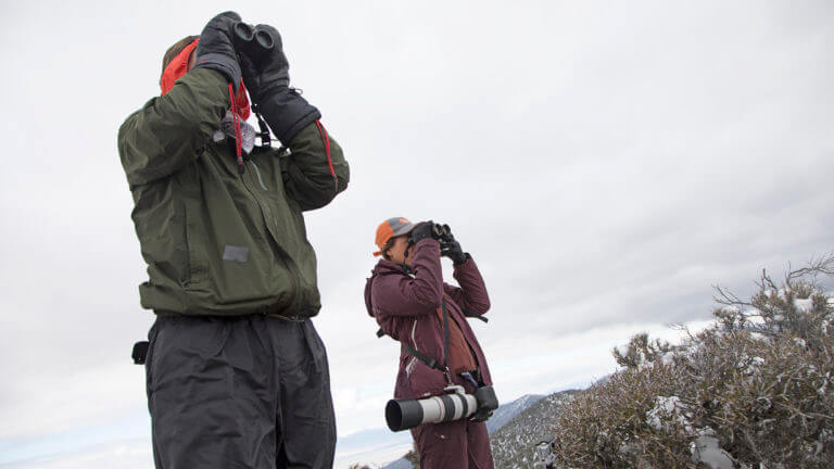 people look through binoculars