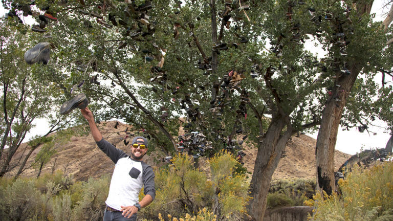 man standing under the shoe tree of middlegate