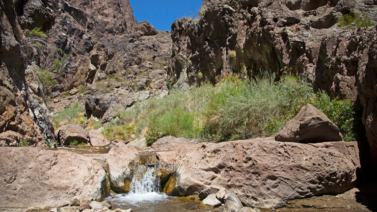 gold strike hot springs trail