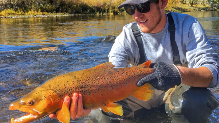 Restocking Waterways and Finding Nevada Wildlife with Darrin Miller