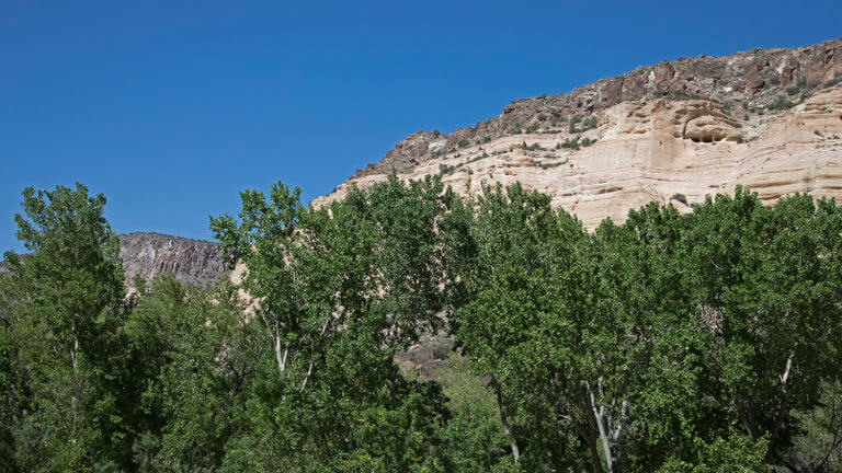 rainbow canyon cottonwood tree grove