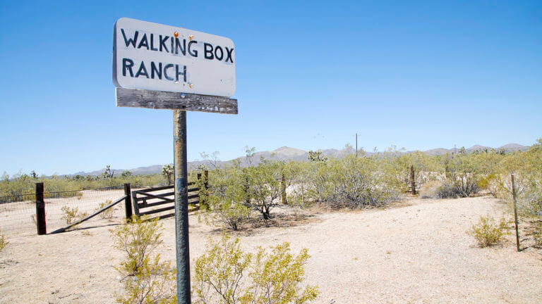 Walking Box Ranch