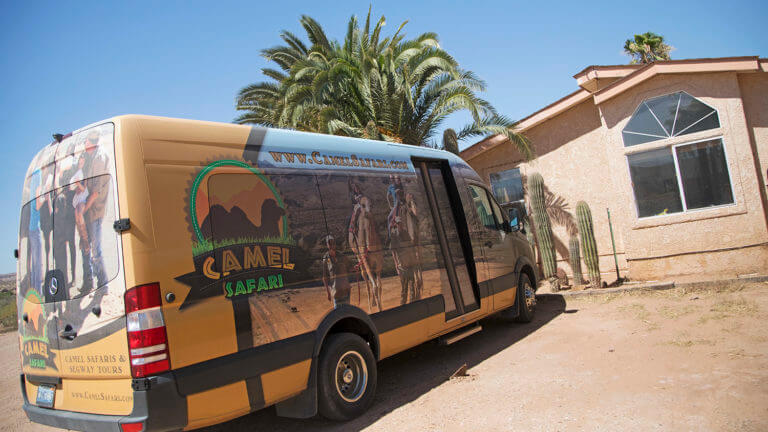camel safari bus