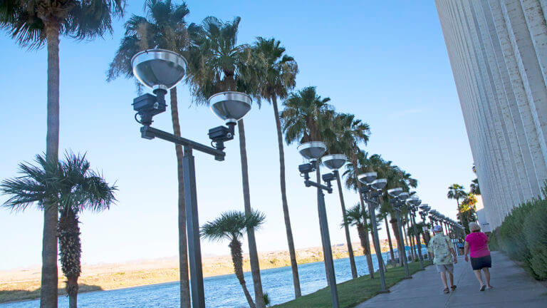 palm trees line laughlin riverwalk