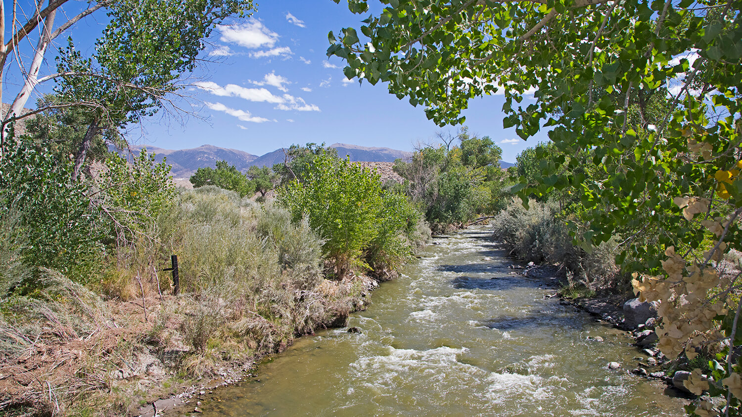 Explore the Walker River State Recreation Area