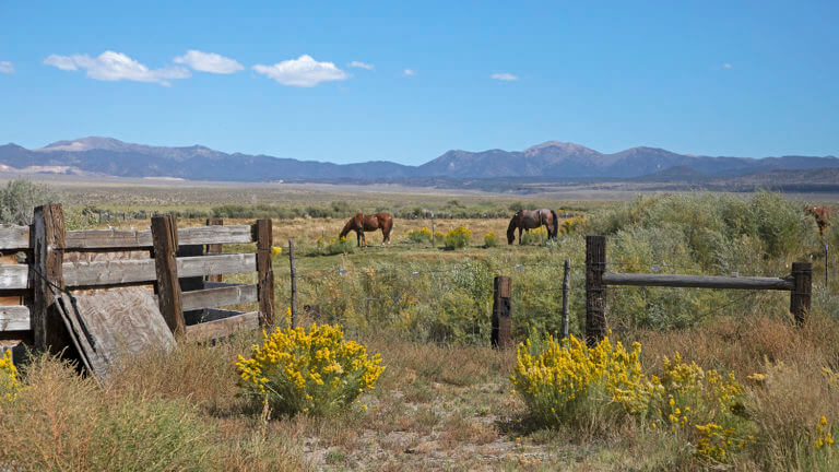 walker river park