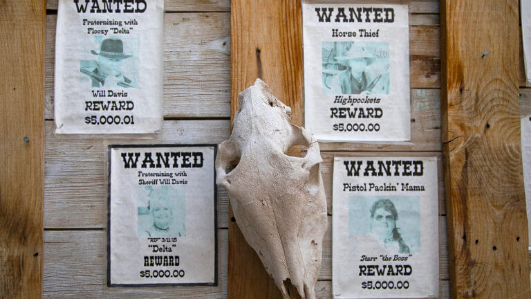 wanted poster and an animal skull hanging on the wall at happy burro