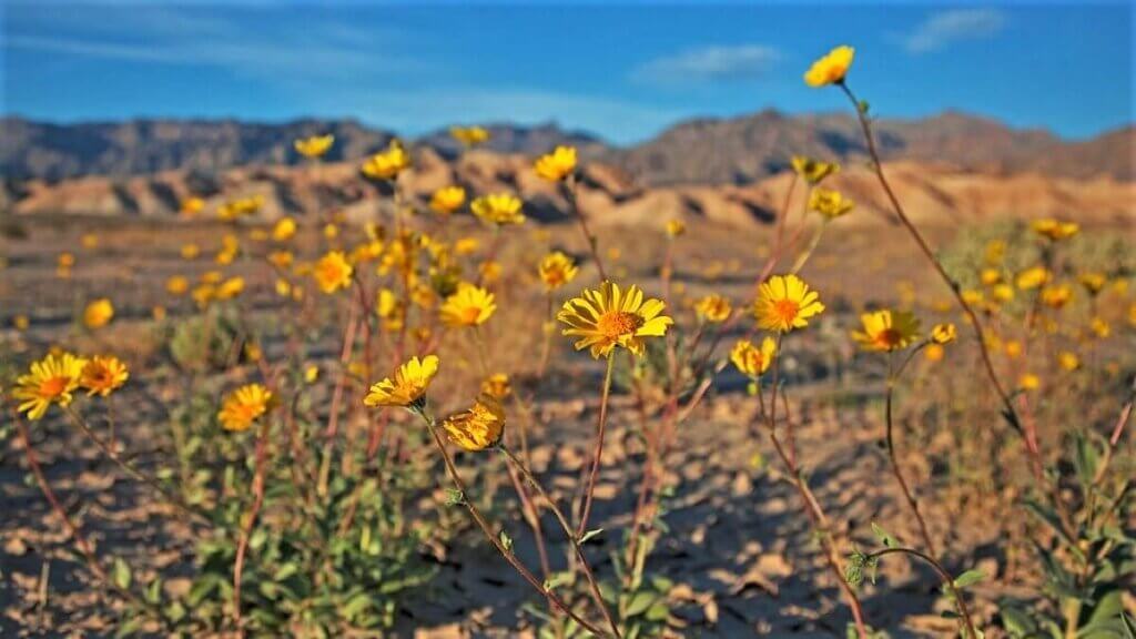 National Public Lands Day