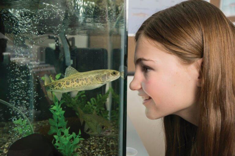 fish at Tahoe Science Center