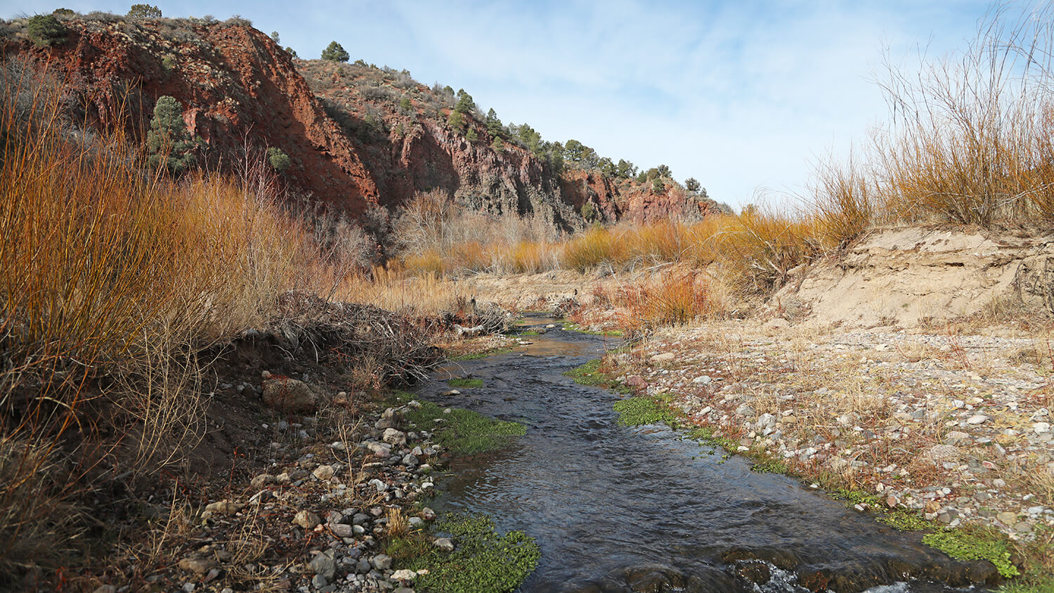 Beaver Dam State Park Located in Eastern Nevada