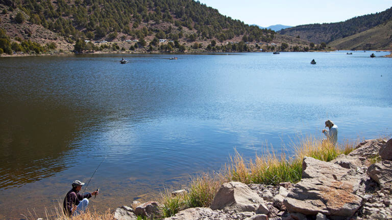 fishing in lake mead