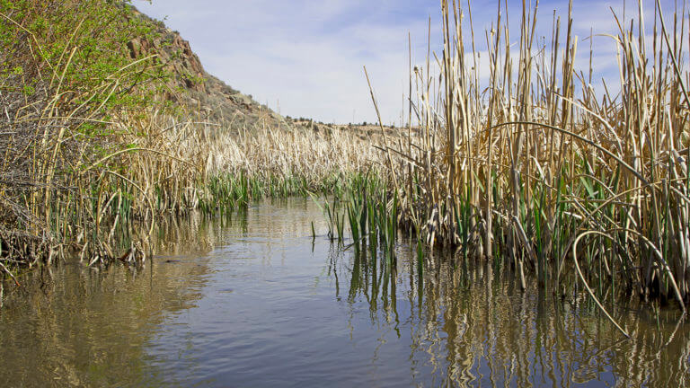 Spring Valley State Park