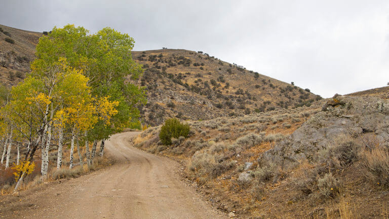 dirt road on Success Loop Scenic Drive