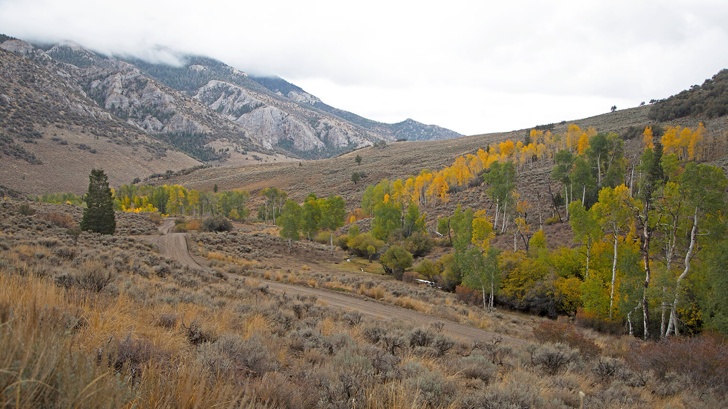 Success Loop Scenic Drive