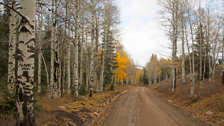 nevada dirt road