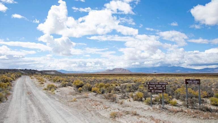 road to Wayne E. Kirch Wildlife Management Area