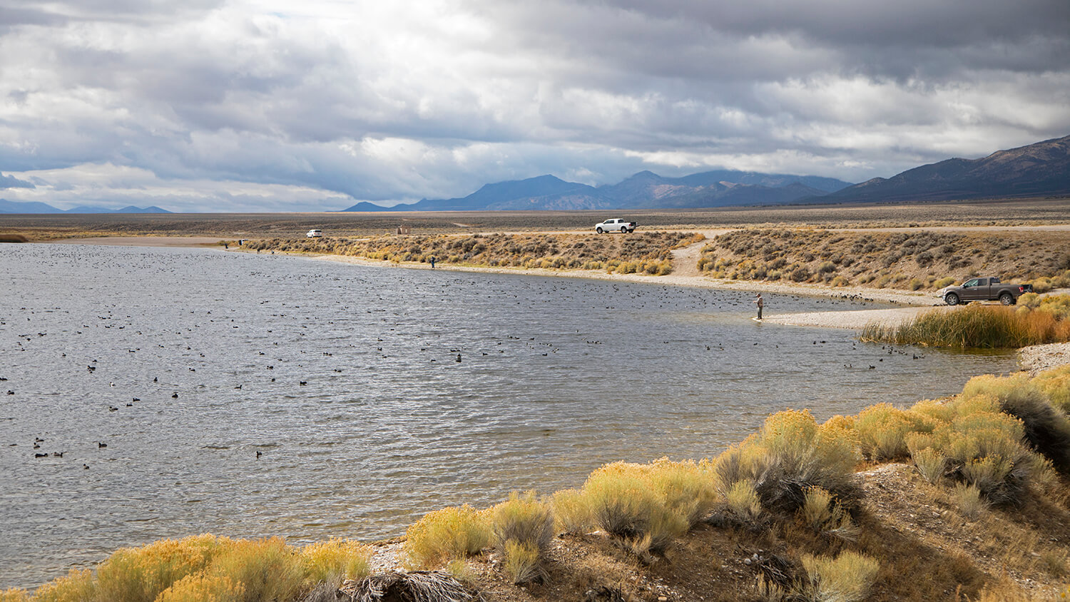 shoreline at comins lake