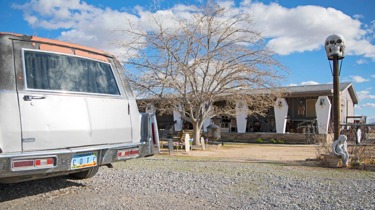 Pahrump's Coffinwood