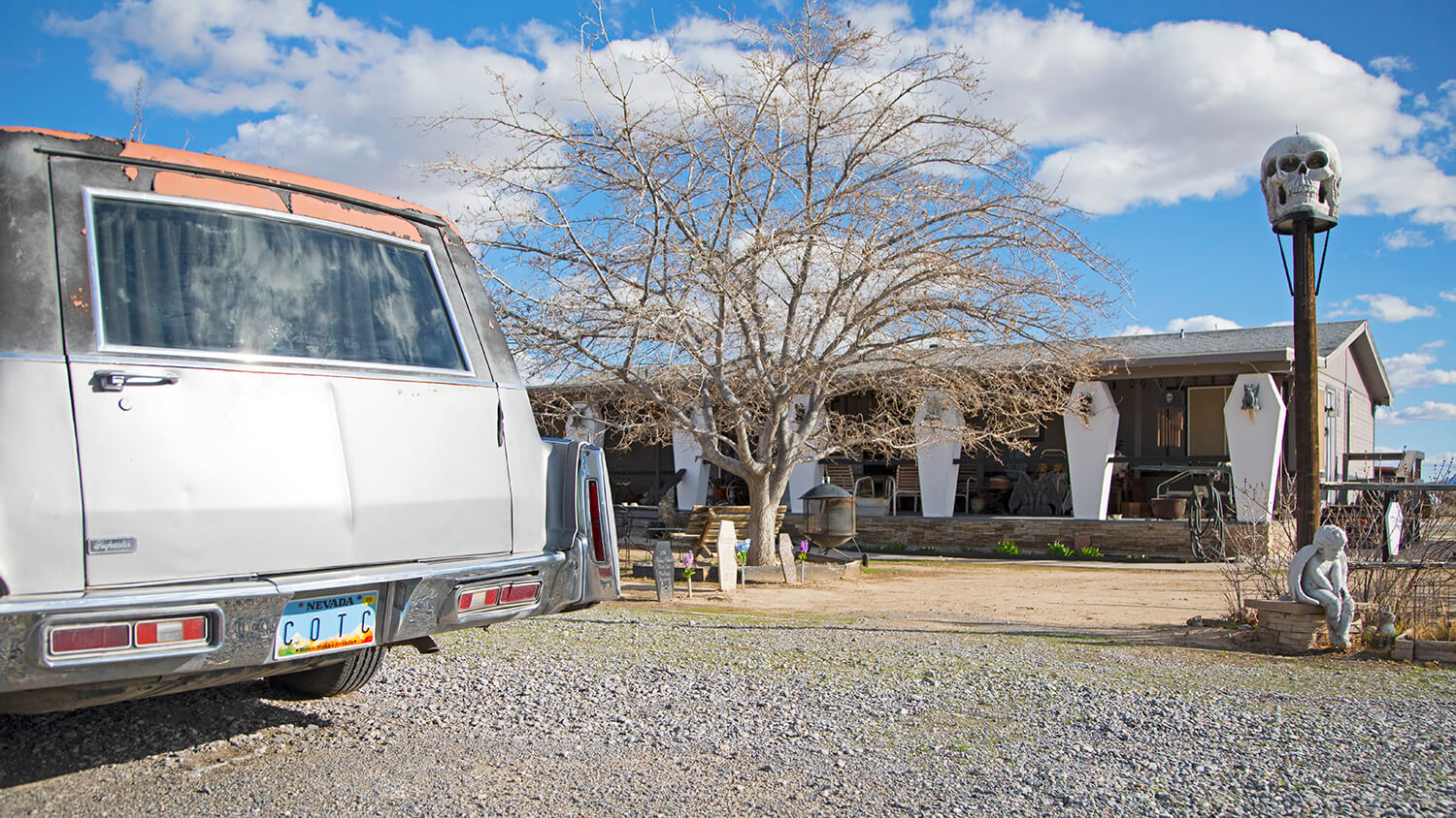 Coffin It Up at Pahrump's Coffinwood