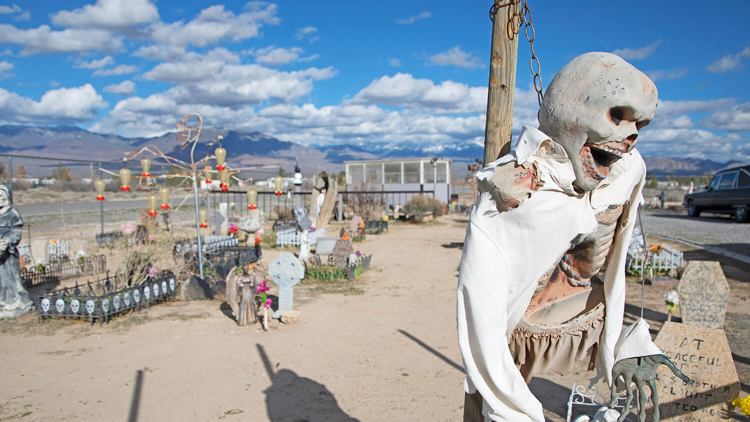 Coffin It Up at Pahrump's Coffinwood