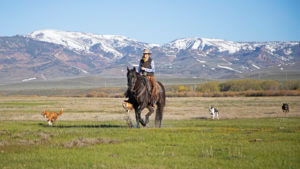 Cottonwood Ranch