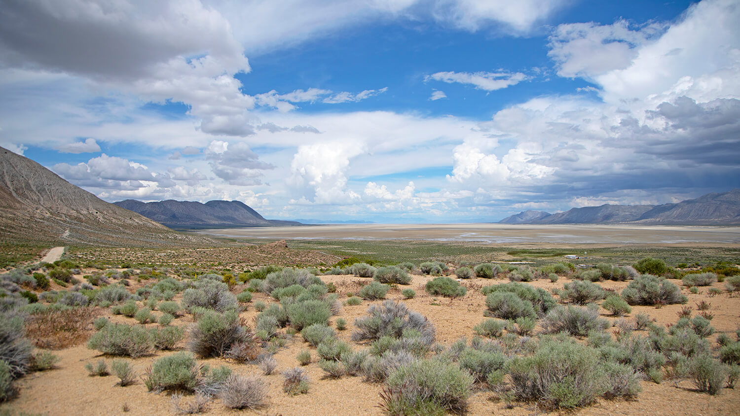 Amargosa Valley Desert Landscape