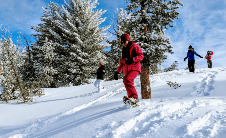 going down snowy lake tahoe