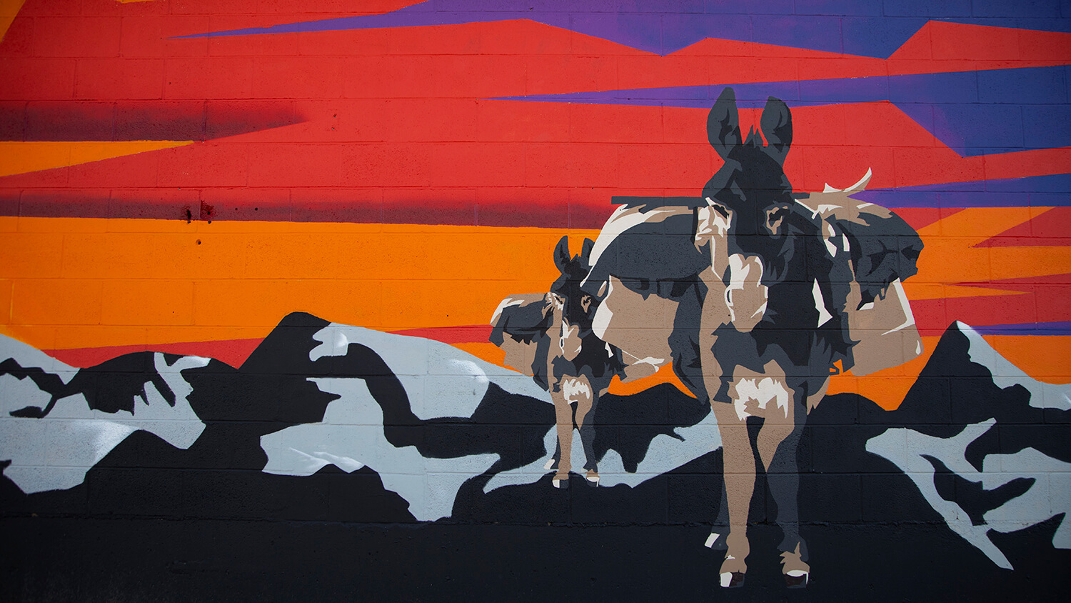 donkey mule mural