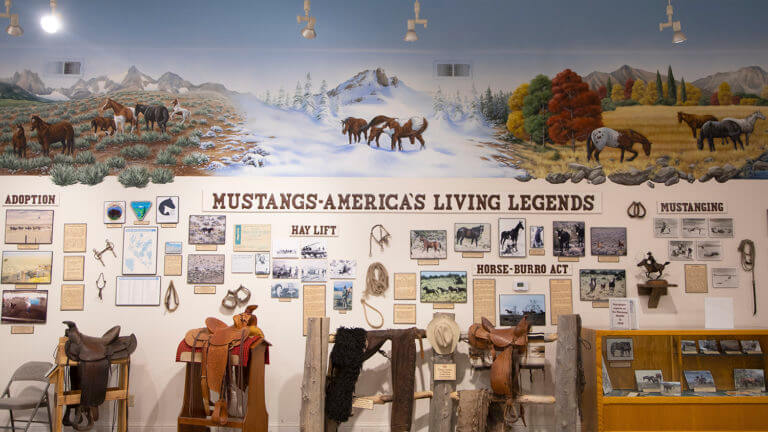 historic items at carson valley museum & cultural center 